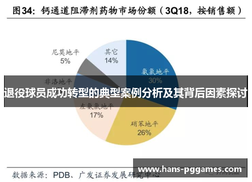 退役球员成功转型的典型案例分析及其背后因素探讨